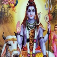 Haresh Tailor