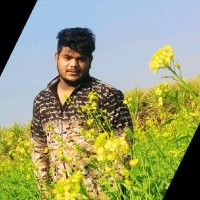 Harish Saifi