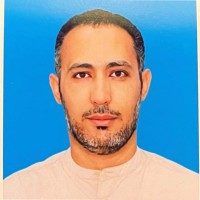 Mohamed Walid EL NAJJAR, BEng, (PMP)®, MMUP/UPDA Class A Certified Electrical Engineer
