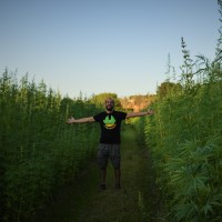 PAU DOMÉNECH ROSELLÓ