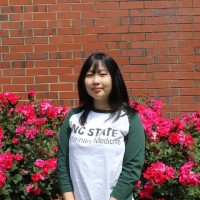 Ly Le