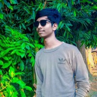 Swadhin Biswas