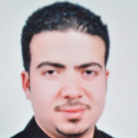 Mohamed Eltonsy