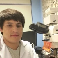 Misael Rodriguez Capcha