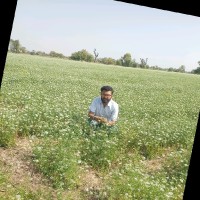 Sachin Katare