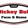 Dickey Bub