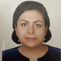 mozhgan mahmoudi
