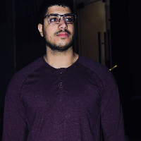 Gamal Elghamry
