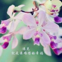 张徐飞
