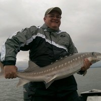 Chuck Longo