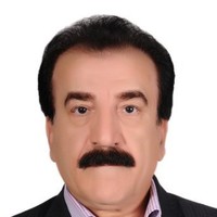 Mohammad Reza Shahrokhi