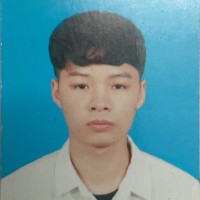 Việt Hoàng Vũ