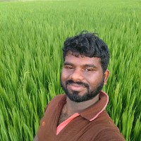 Vignesh M
