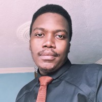 Bheki Ndhlovu