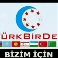 Zübeyir Mutlu Yilmaz