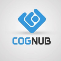 Cognub Decision Solutions