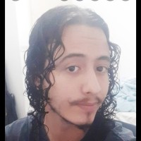 Pedro Henrique Catelani Rocha