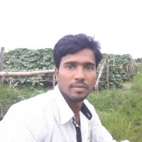 Freelancer Parvez