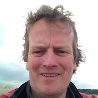 David Bassett