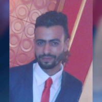 Hussein Fathi