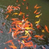 王立广