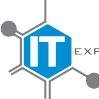 IT experience