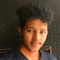 Vik Ash