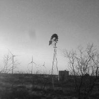 Olivia Montelongo Soto