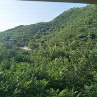 杨晓亮