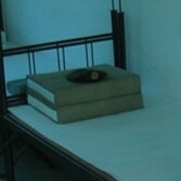 熊永健