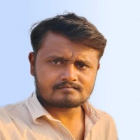 Palanisamy V