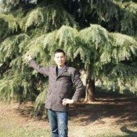 陈显杰