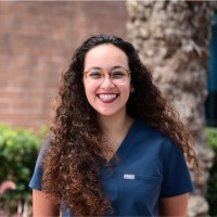 Amani Sayed