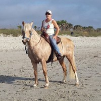 Cindy Stewart