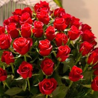 Karam Dawlah