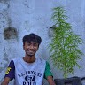 Mahmudul Hasan Tareq