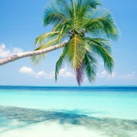 Ashley Lemanski, COTA/L