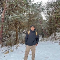 Ashim Shrestha
