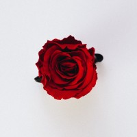 Rose Patel