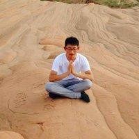 王树帅