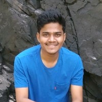 Paras Harmalkar
