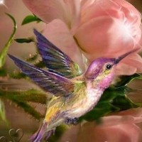 Jocelyne Gerod
