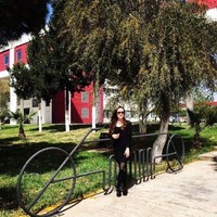 Nazile Şen