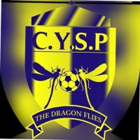 Cleverads Youth Sports Program