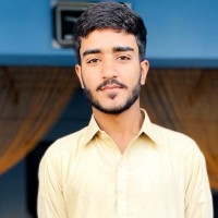 Syed Wali Raza