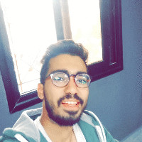 Ahmed Abd elmaboud Mohamed