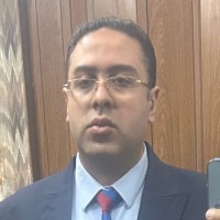 Mahmoud Elgizawy