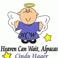 Cynthia Hager