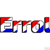 Errol D'Souza