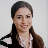 Aslı Gök